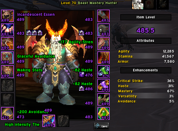 Sold Heavy Personal Account Ilvl Characters Aotc Io