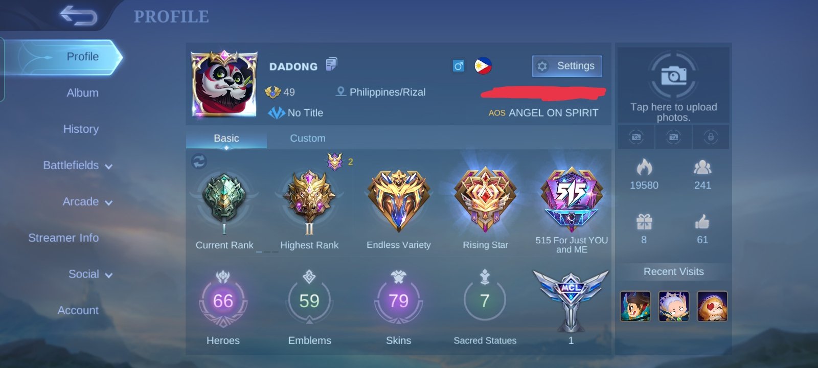 MOBILE LEGENDS (PILOT SERVICE, BUY AND SELL ACCOUNT, SKINS, SQUAD