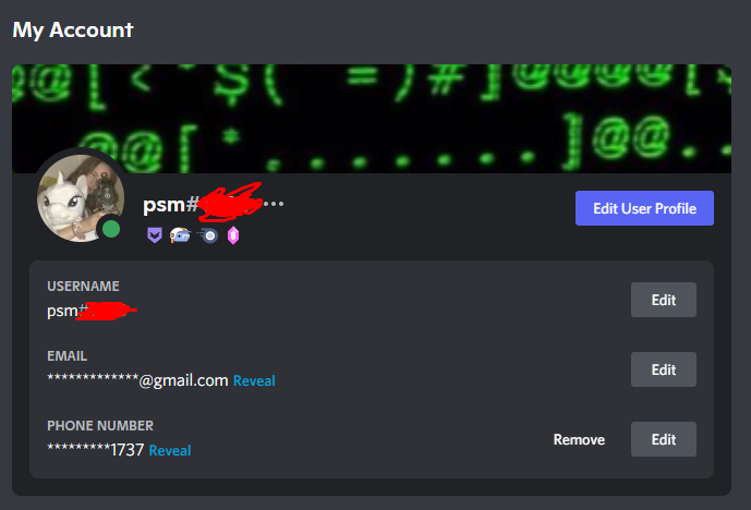 Discord Account - Early Supporter + Verified Bot Developer + 24M Boost Badge  - Other - SWAPD