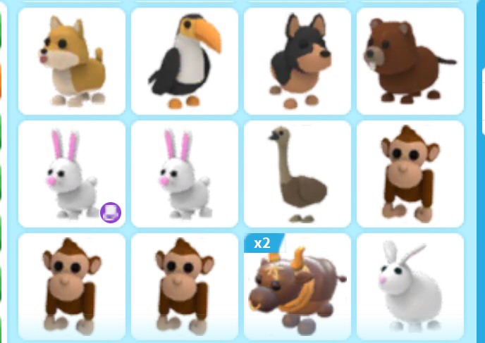 Selling - Adopt me Cute and Adorable Pets :) - EpicNPC