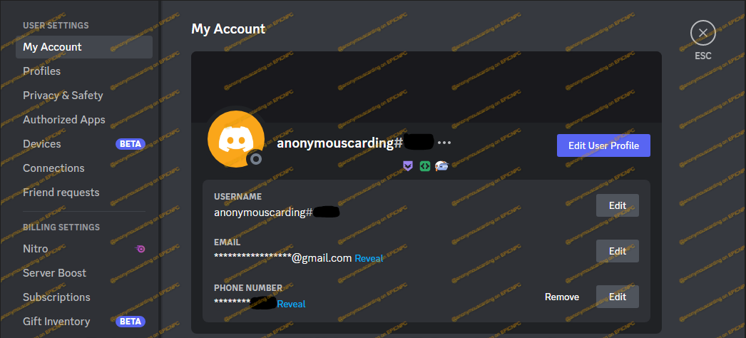 Early supporter discord как получить