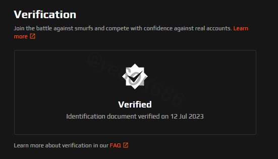 Selling - 700$ VIP VERIFIED Faceit account(pro mark) + steam - EpicNPC